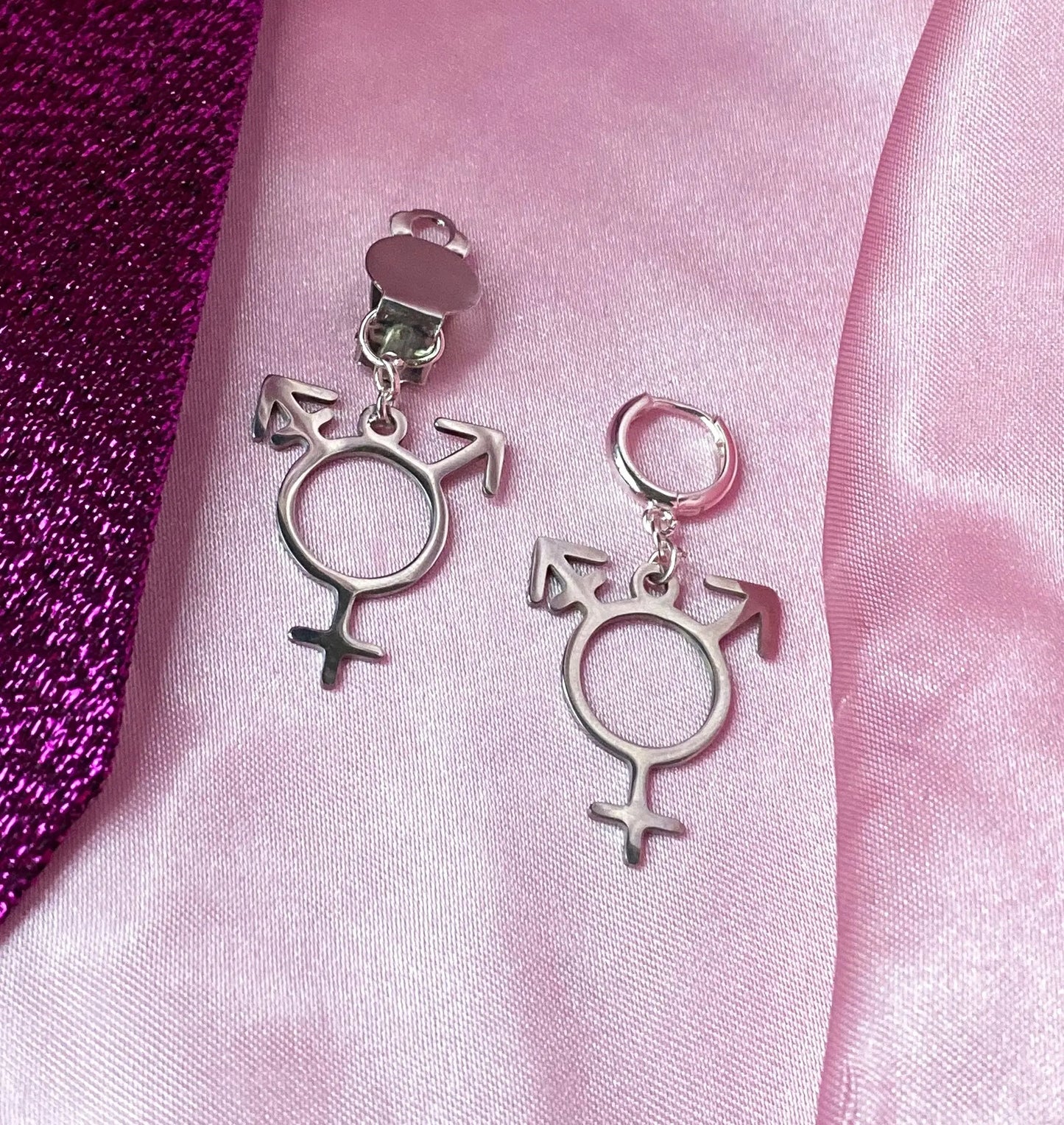 Transgender symbol stainless steel earrings Leftbians