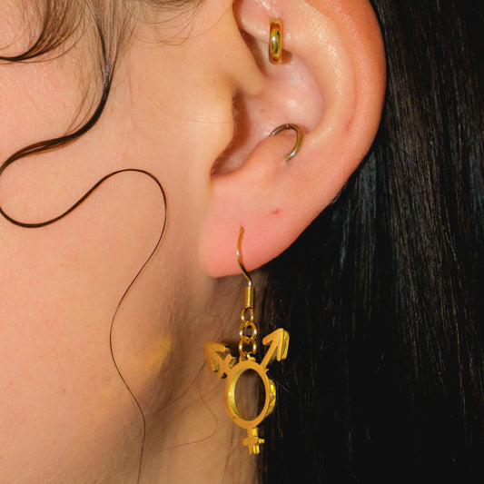 Transgender symbol earrings gold plated stainless steel