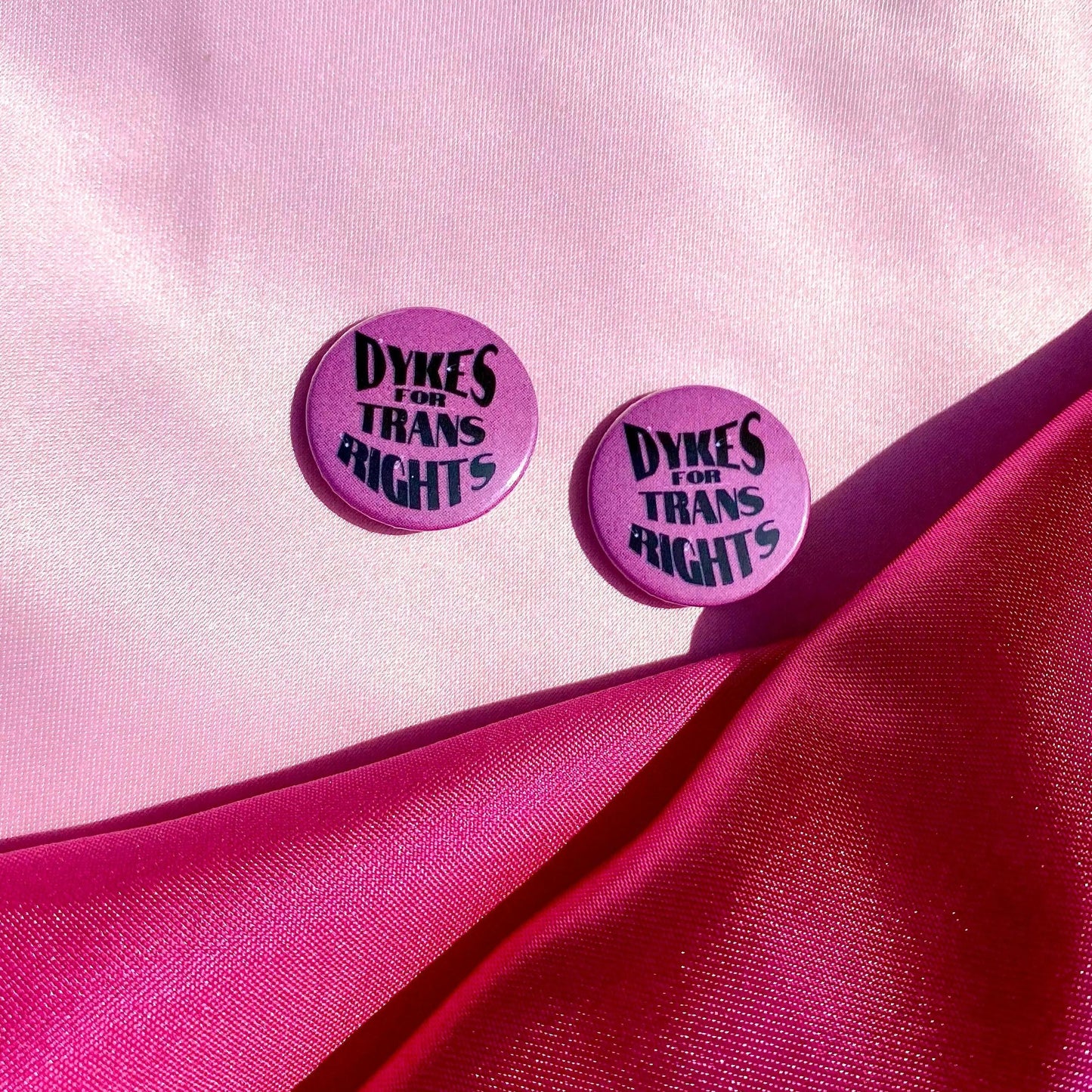 Dykes for trans rights badge Leftbians