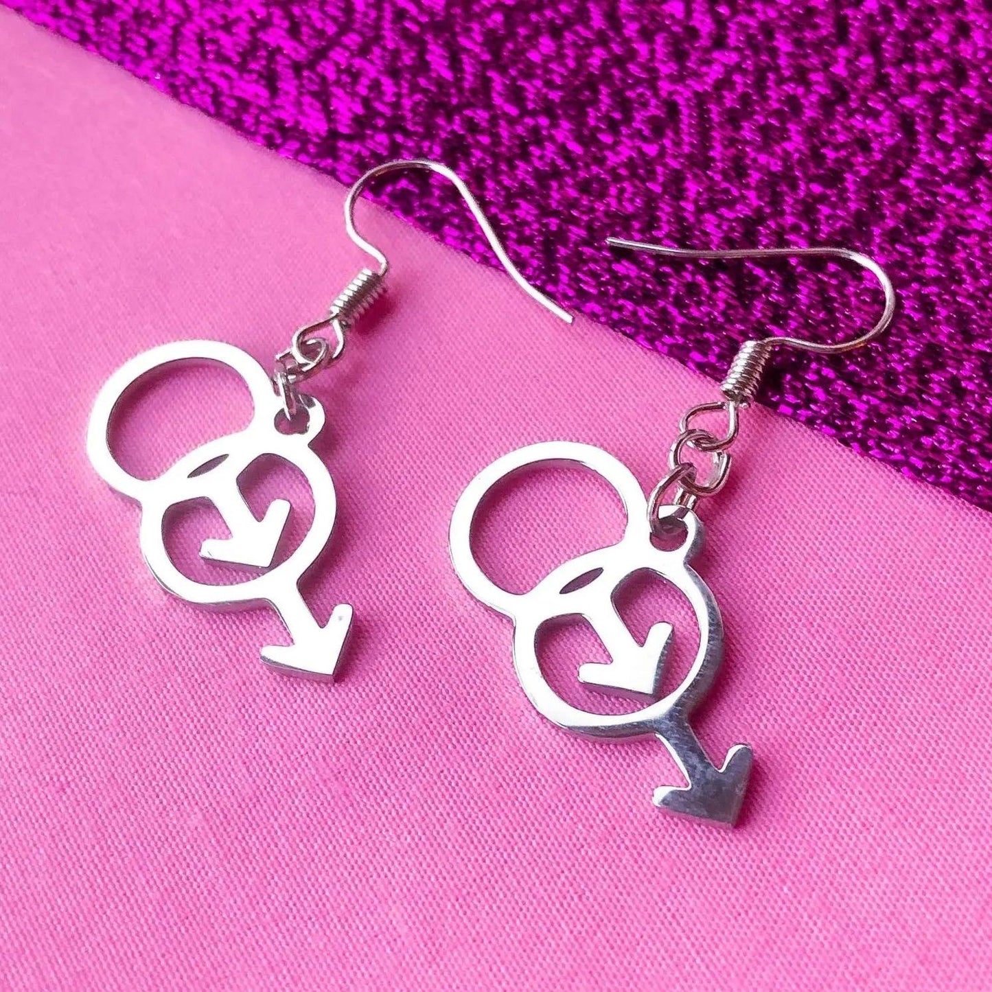 Double Mars stainless steel symbol earrings Leftbians