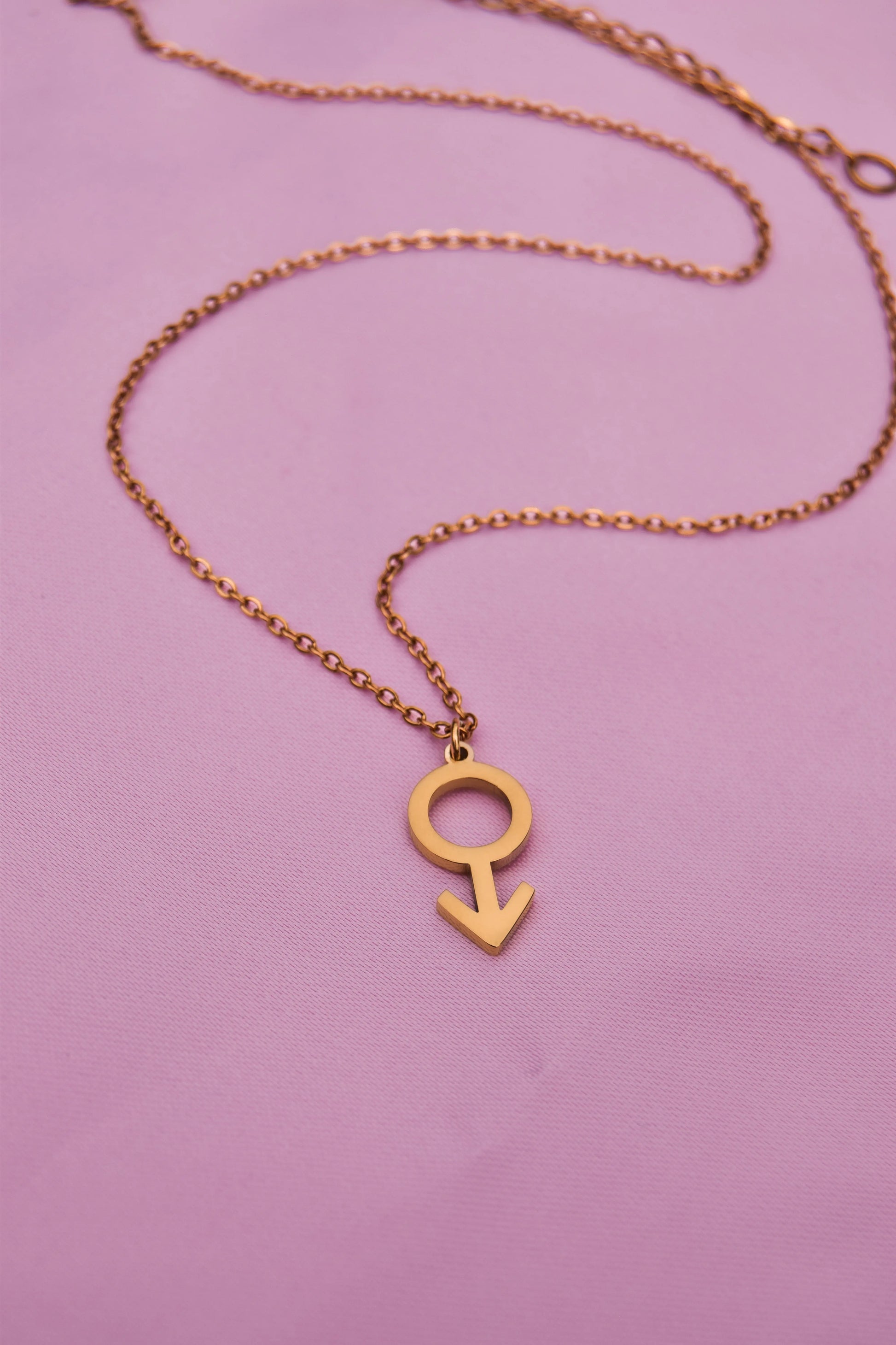 Gold mars symbol necklace in 304 stainless steel Leftbians
