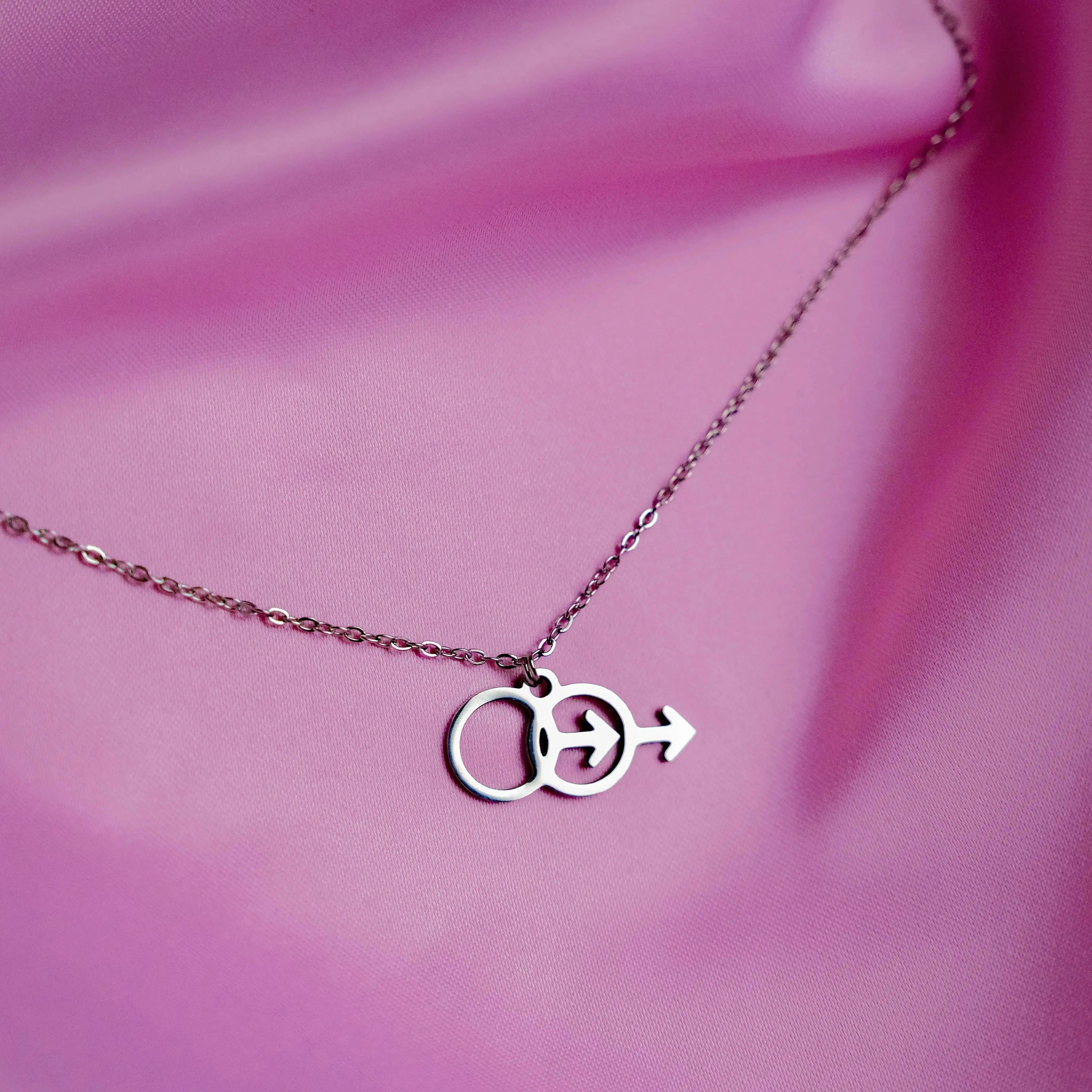 Double Mars symbol stainless steel necklace Leftbians