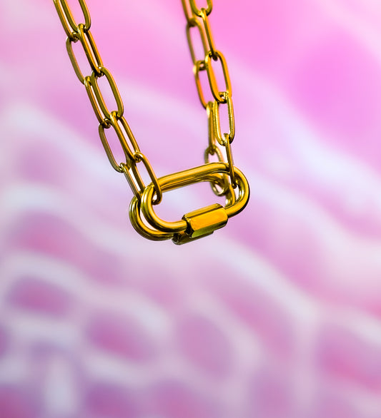 Gold carabiner with delicate paperclip chain necklace in 304 stainless steel