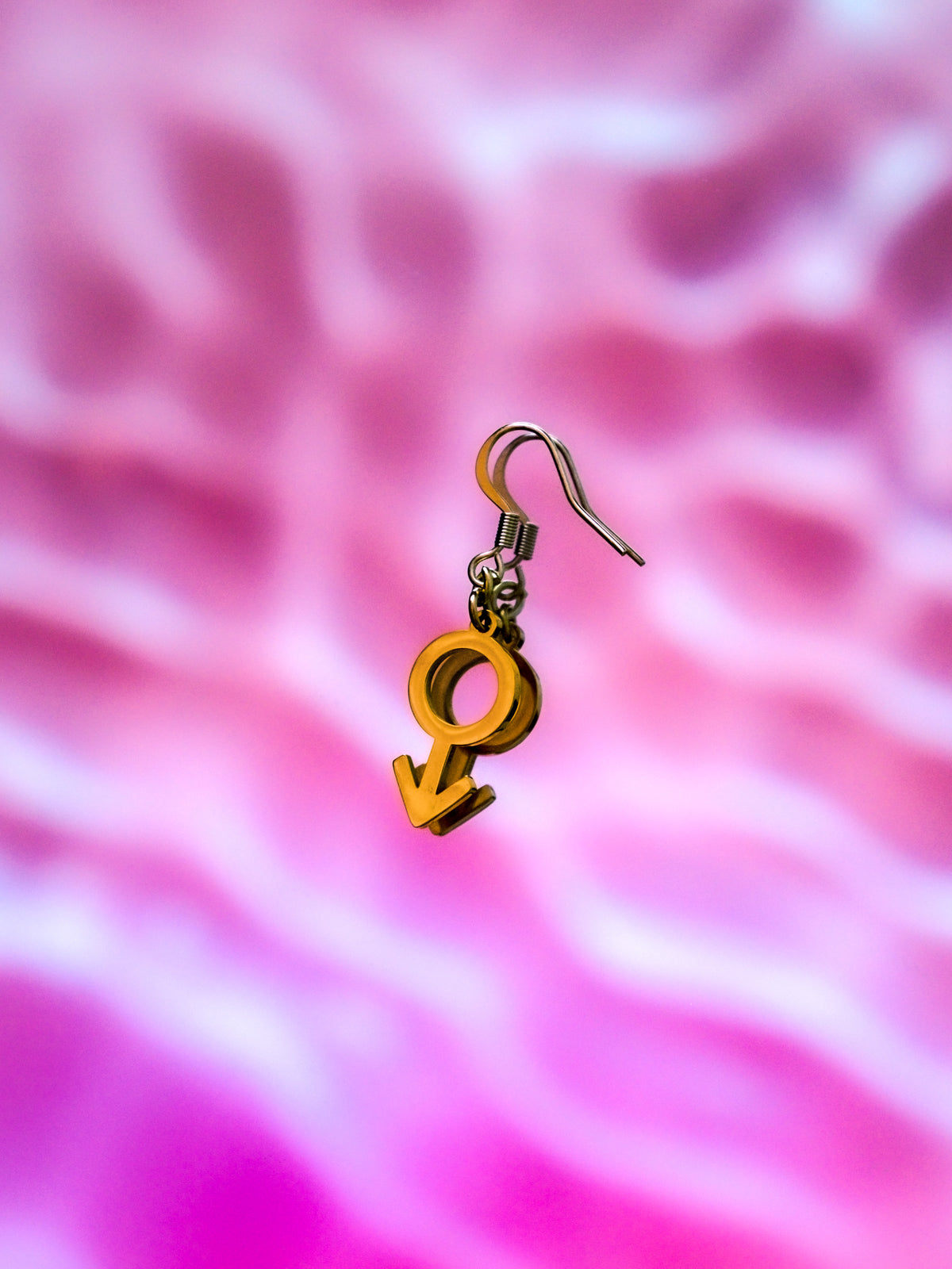 Gold Mars Symbol Earrings in 304 Stainless Steel