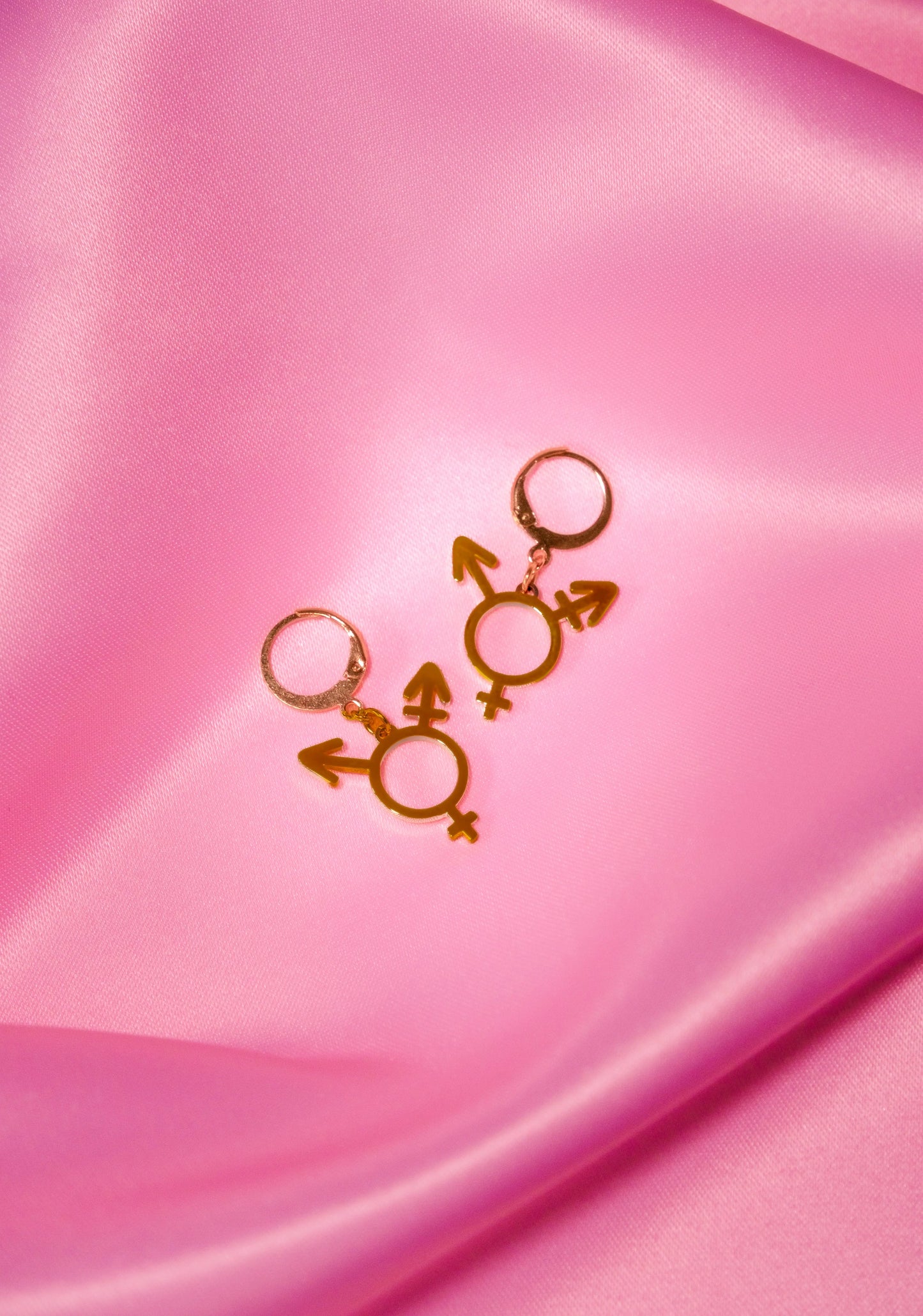 Transgender symbol earrings gold plated stainless steel Leftbians