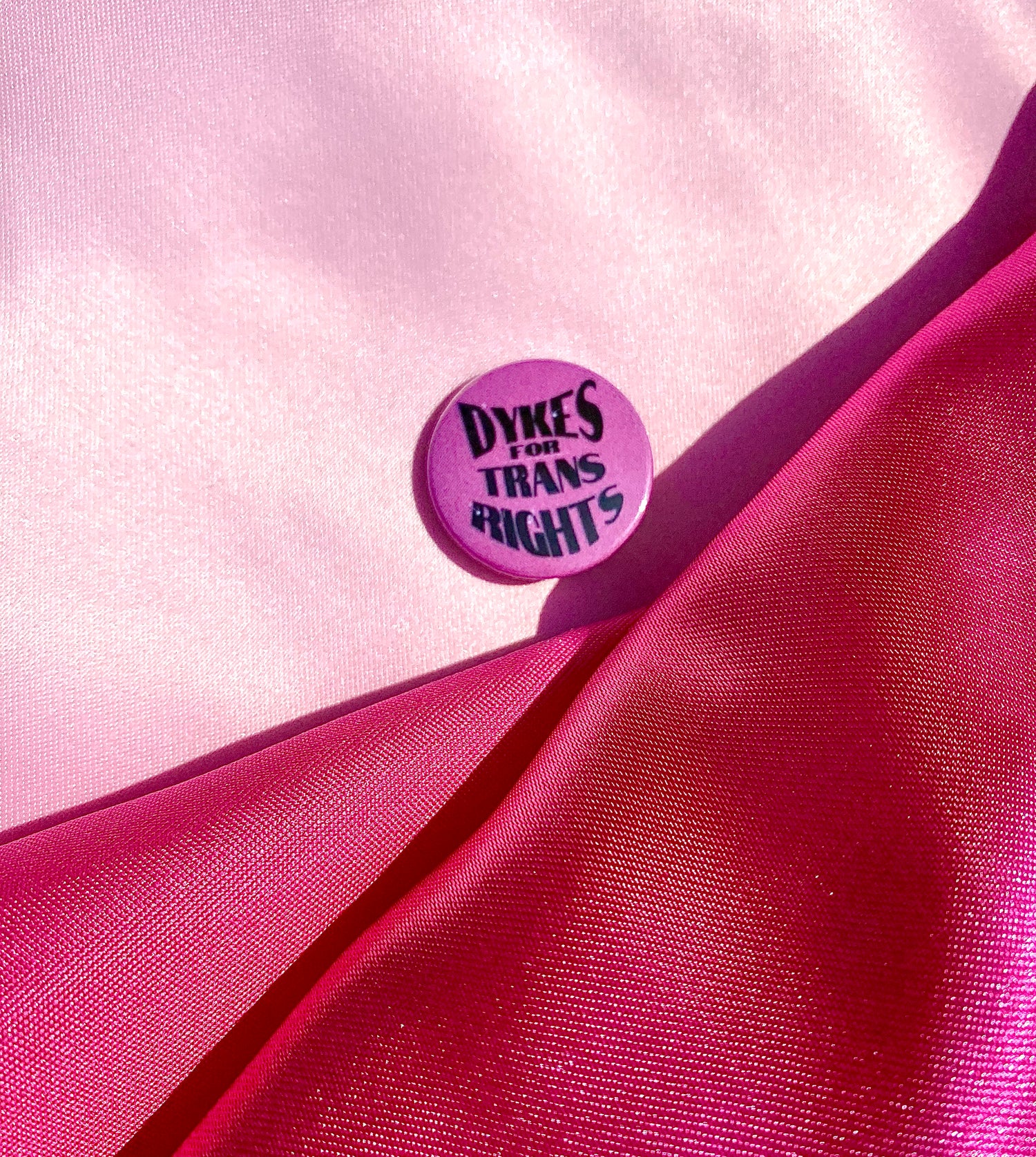 Dykes for trans rights badge Leftbians