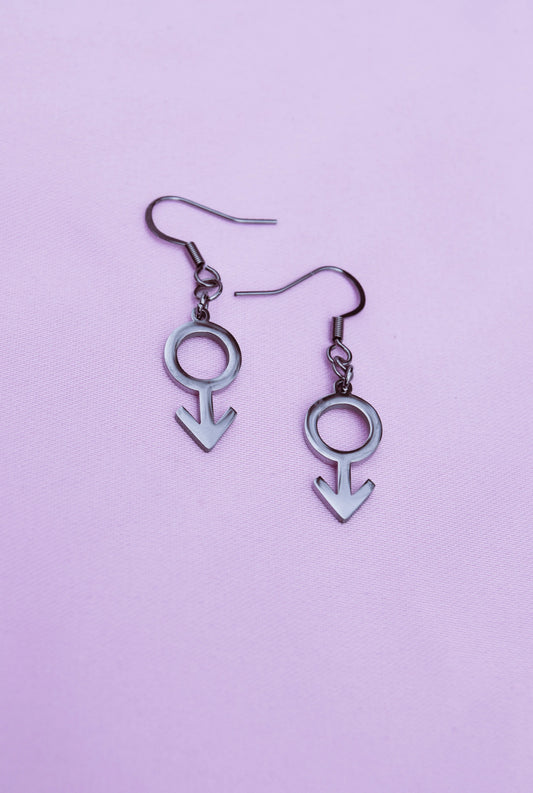 Mars symbol earrings in 304 stainless steel