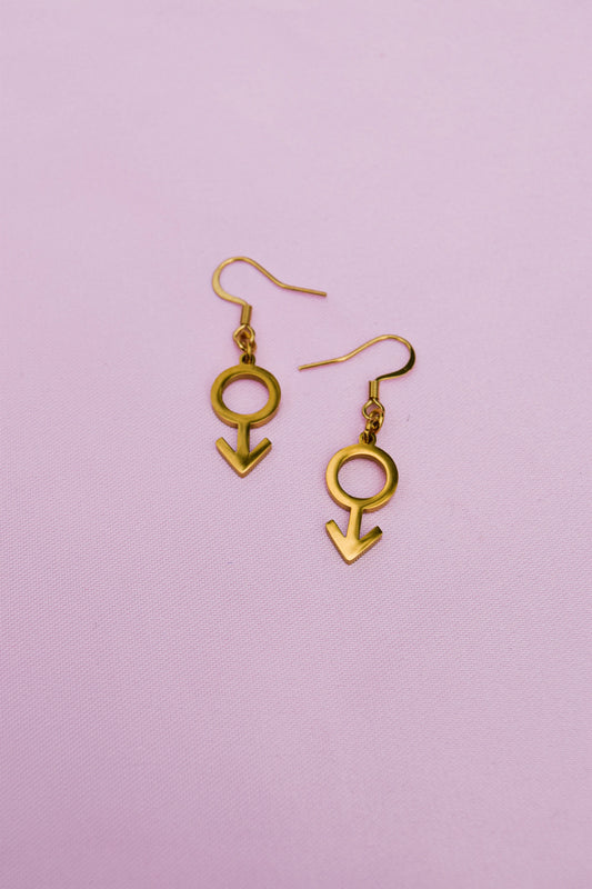 Gold Mars symbol earrings in 304 stainless steel